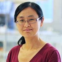 Yumei Li, Ph.D.