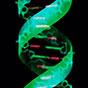 DNA art, adapted from U.S. Department of Energy image HD.17.027 